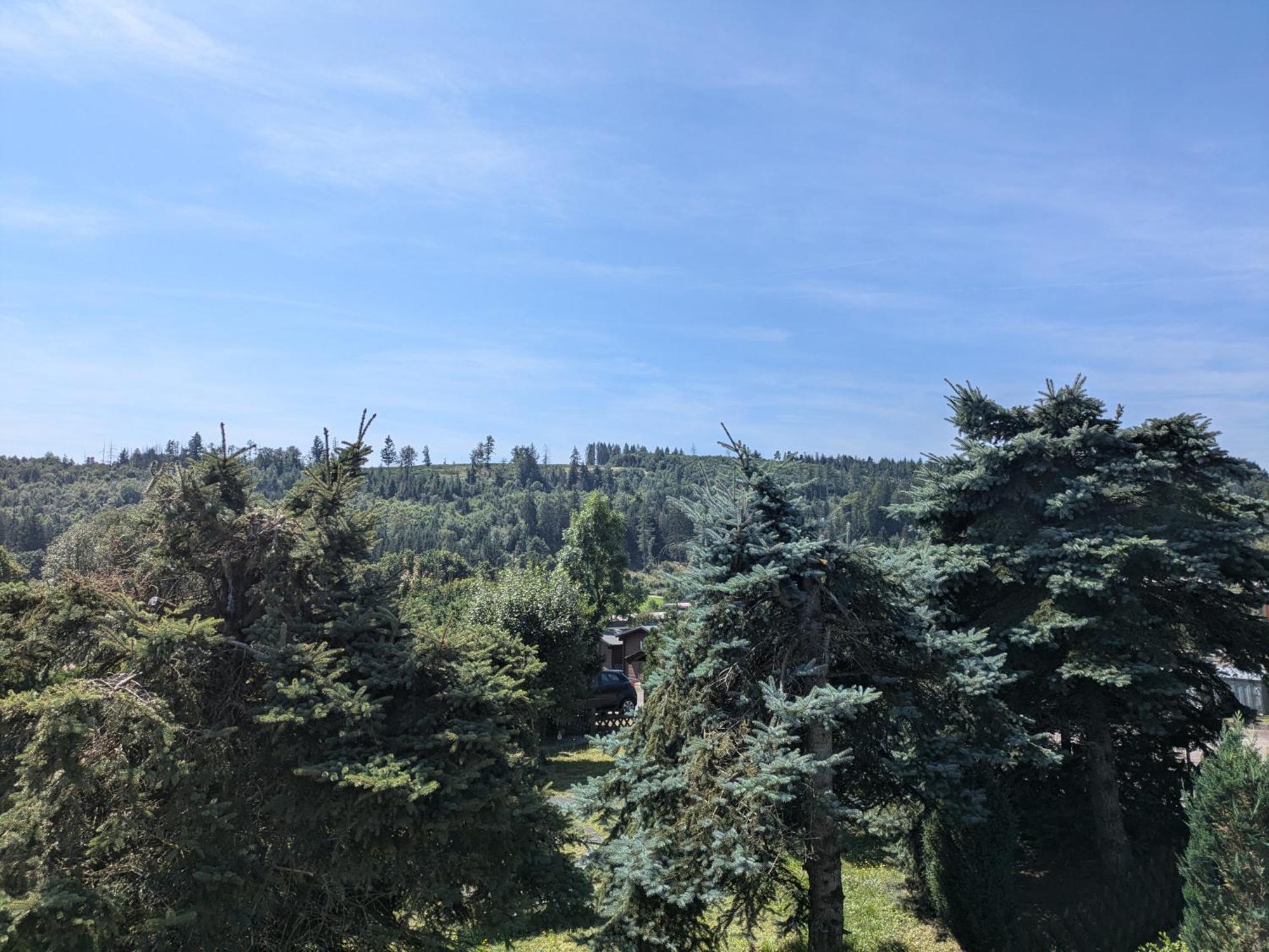 Dein Bergnest Apartment Medebach Bagian luar foto